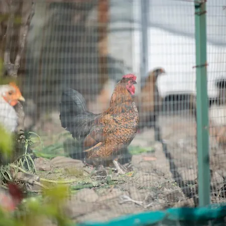 Borgo Maria Rosa Дом отдыха *