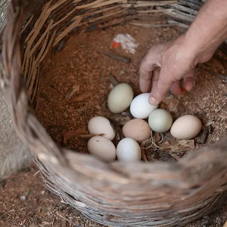 Borgo Maria Rosa * San Salvatore di Fitalia