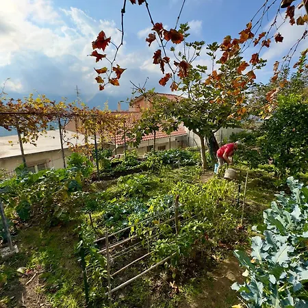 Borgo Maria Rosa Дом отдыха